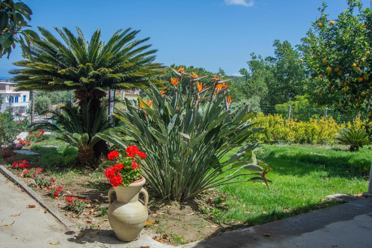 Villa Casa Yucca Forio di Ischia Exterior foto